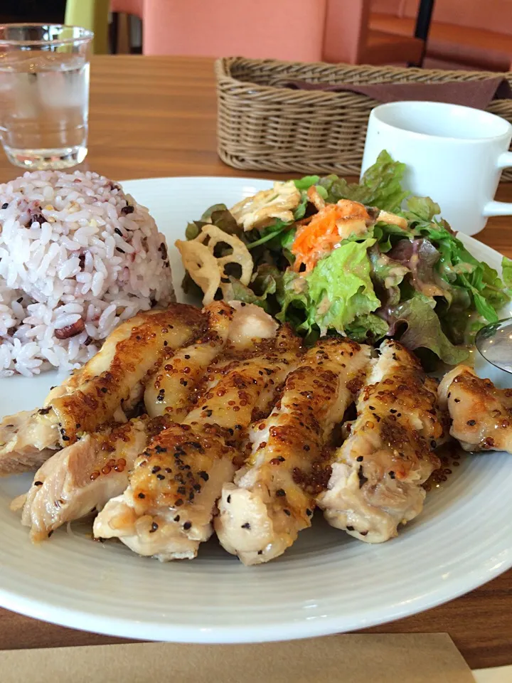 幸時森（コトリ）珈琲
ワンプレートランチ|トモさん