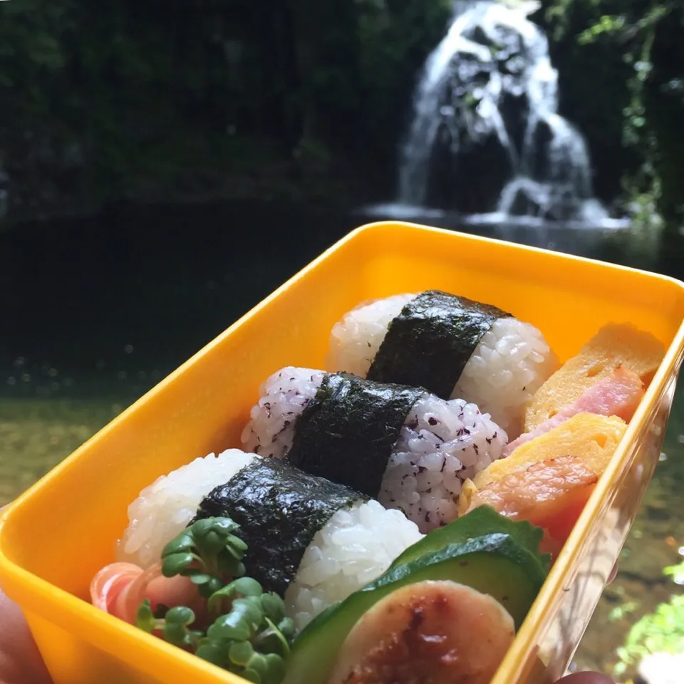 千手滝とコーズ作おむすび弁🍙ʕ-̼͡-ʔ🍙|七海さん