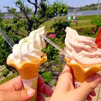 かぶのソフトクリームとトマトソフトクリーム|あさん