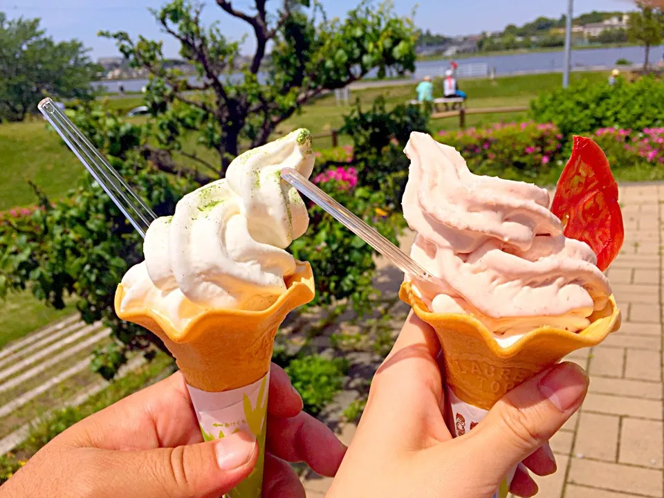 かぶのソフトクリームとトマトソフトクリーム|あさん