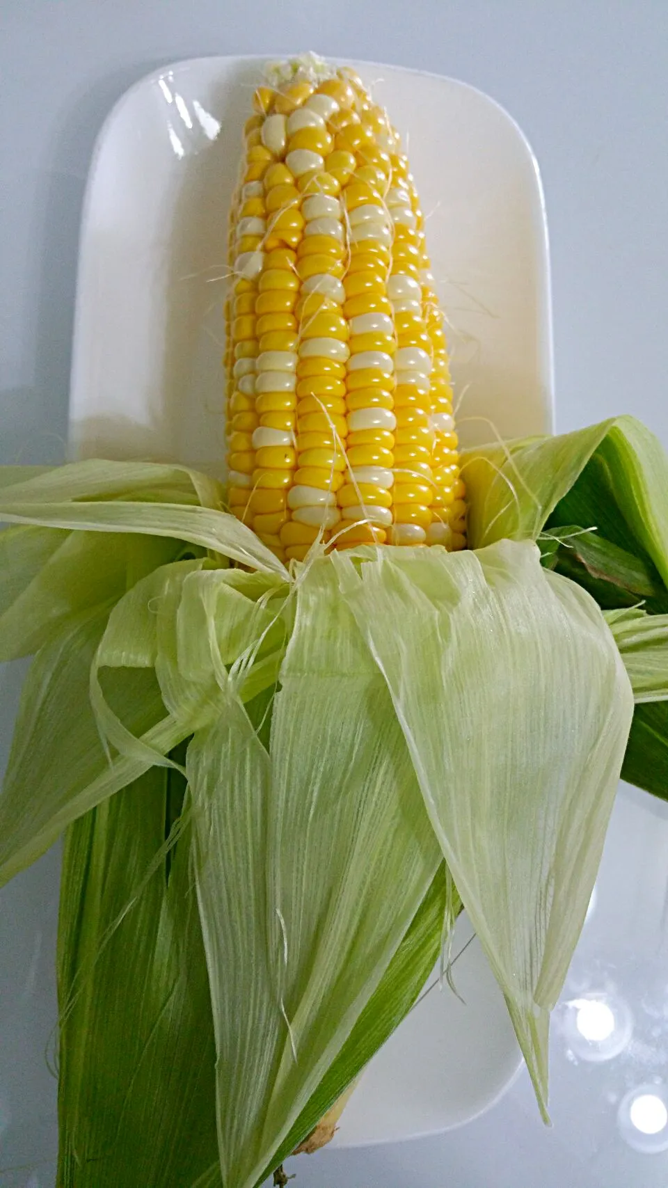 Fresh Corn 😍 Ready for steamed corn with butter & salt|🌷lynnlicious🌷さん