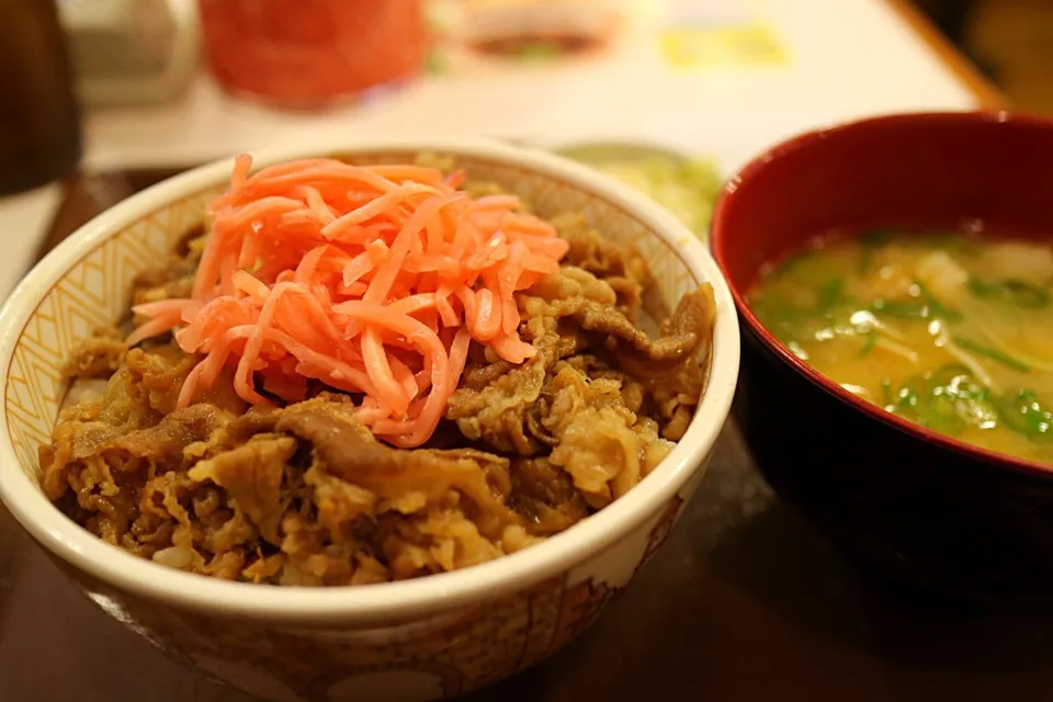 Snapdishの料理写真:牛丼豚汁おしんこセット|マハロ菊池さん