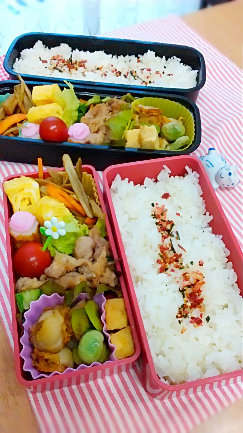 5月9日の娘弁当&旦那弁当♪|ノリティアさん