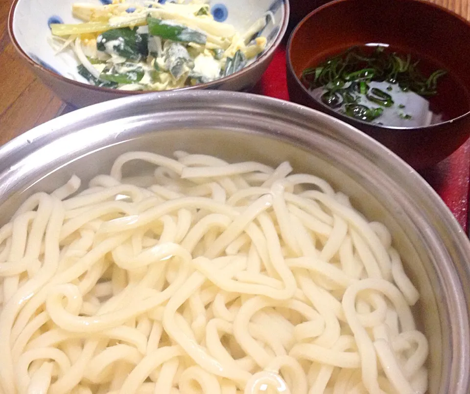 昼ごはん 釜揚げうどん かき揚げ 葉玉ねぎと卵のサラダ|ぽんたさん