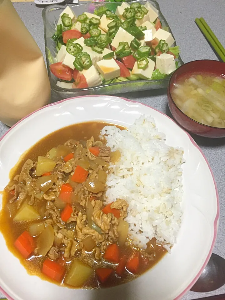 どっちかってゆうとスープっぽい方のカレーライス(麦飯)、オクラ豆腐野菜サラダ(中華ドレッシング風な)、大根ネギ味噌汁|ms903さん