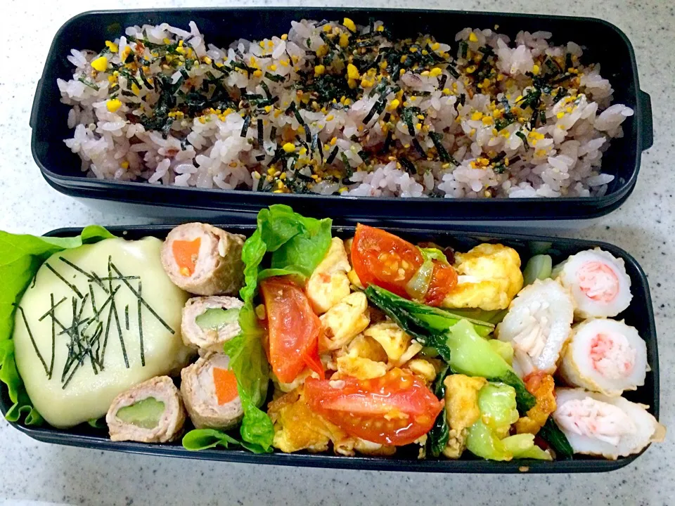 Snapdishの料理写真:5月10日息子のお弁当|mikiさん