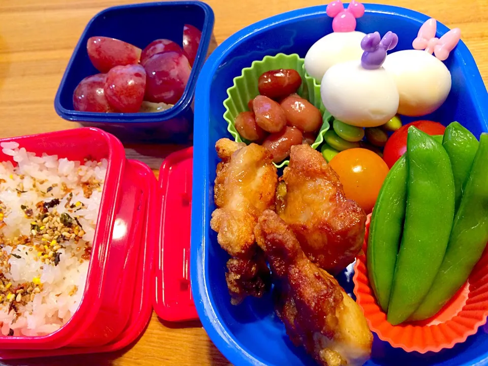 Snapdishの料理写真:年中さんに捧ぐ☆遠足弁当
雨が降っちゃったので、家で食べます。|pigmegさん