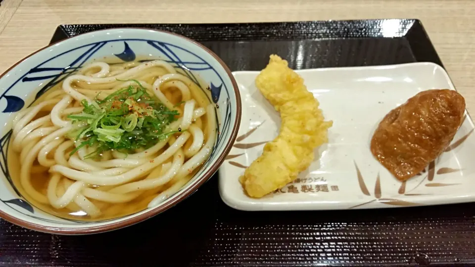 ５月２日丸亀のかけうどん+イカ天+いなり|こやっこさん