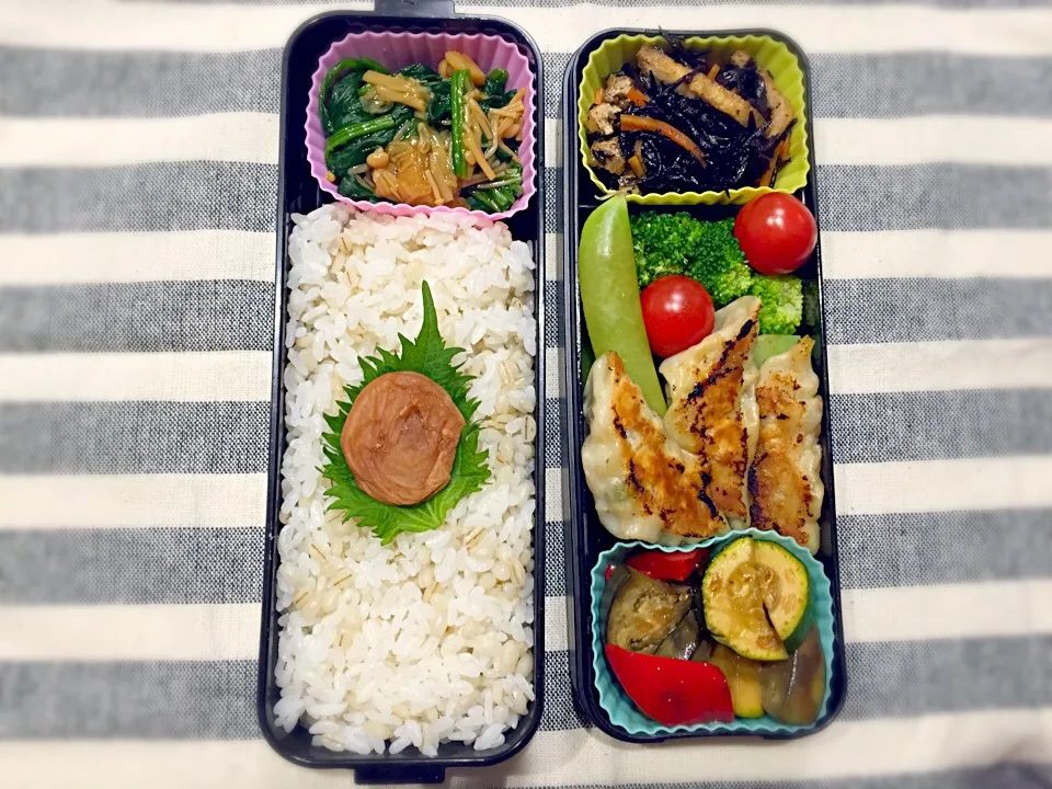 餃子弁当。|ももみにゃん。さん