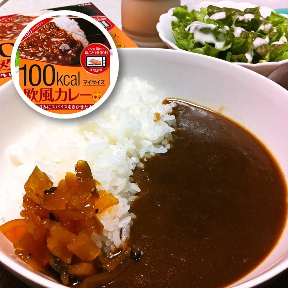 #16051003 大塚食品「100kcal欧風カレー 中辛」/サニーレタス ¥180|dune725さん