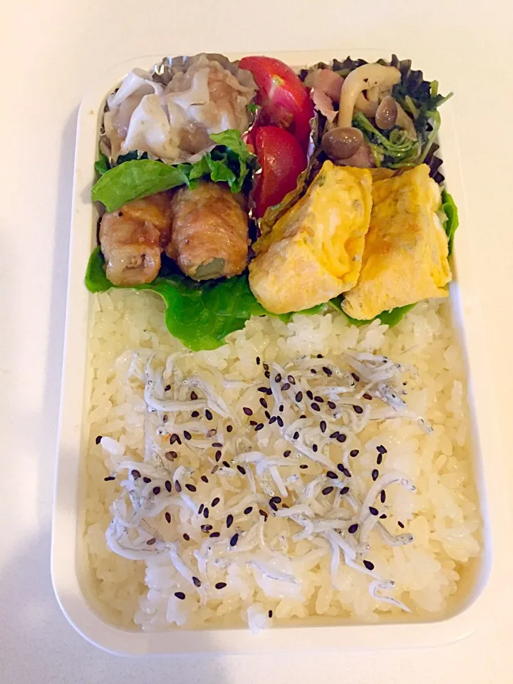 Snapdishの料理写真:5月11日のお弁当|たかたかさん