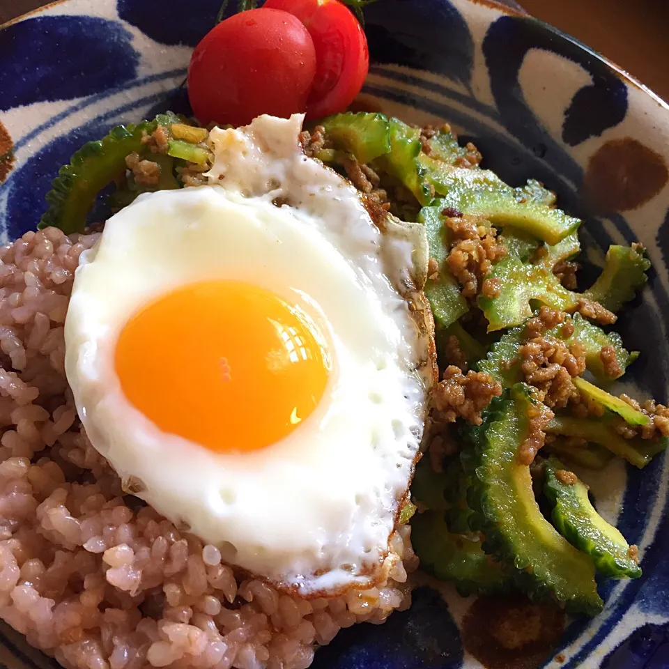 ゴーヤーとひき肉のスパイシーカレー炒め|みどりさん