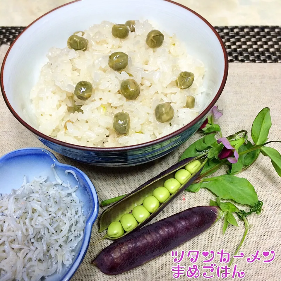 ツタンカーメン豆ごはん♪ 新物のしらすと共に|あまねこ🌿さん