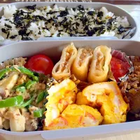 旦那様のお弁当|あやん太さん