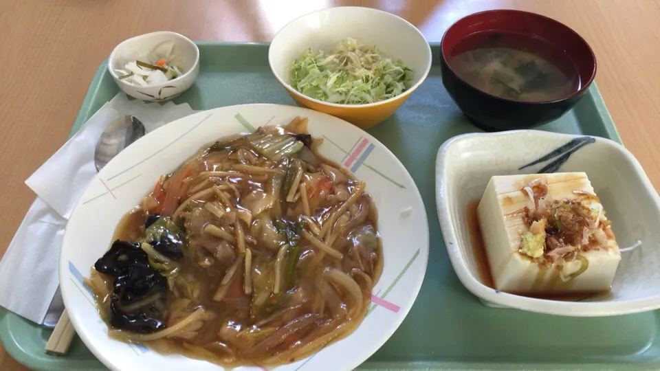 Snapdishの料理写真:中華丼と冷奴|おっちさん