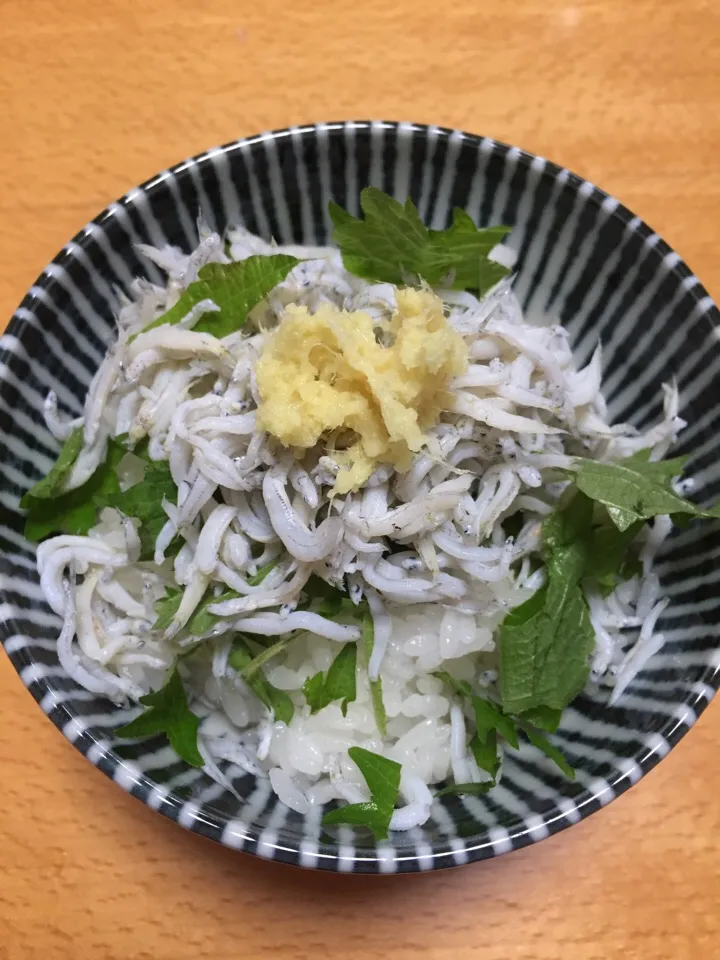 Snapdishの料理写真:しらす丼|mik☺︎さん