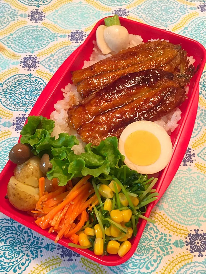 5/13  息子弁当🍴|さちさん