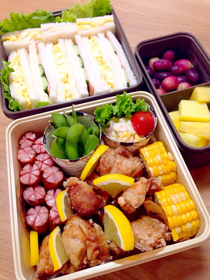 親子遠足のお弁当。|マイさん