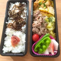 お父さん弁当5/12|sachikoyamさん