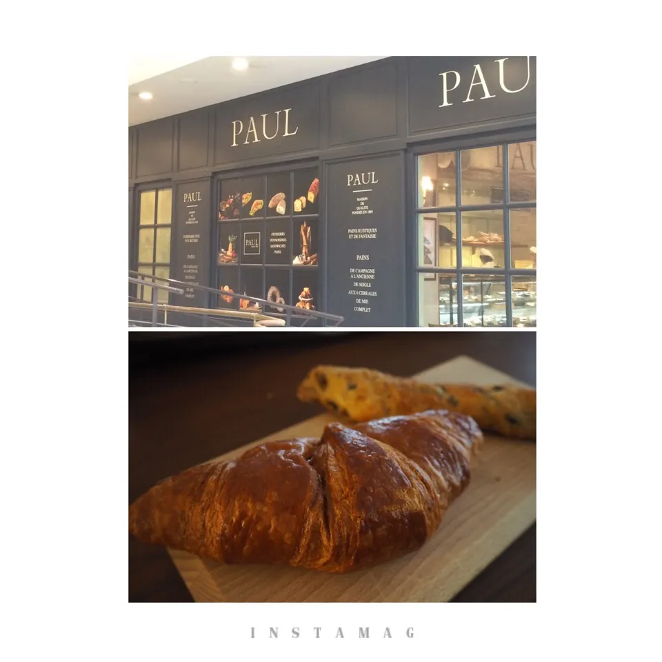 PAUL🇫🇷🍞|まきんすぱん///さん