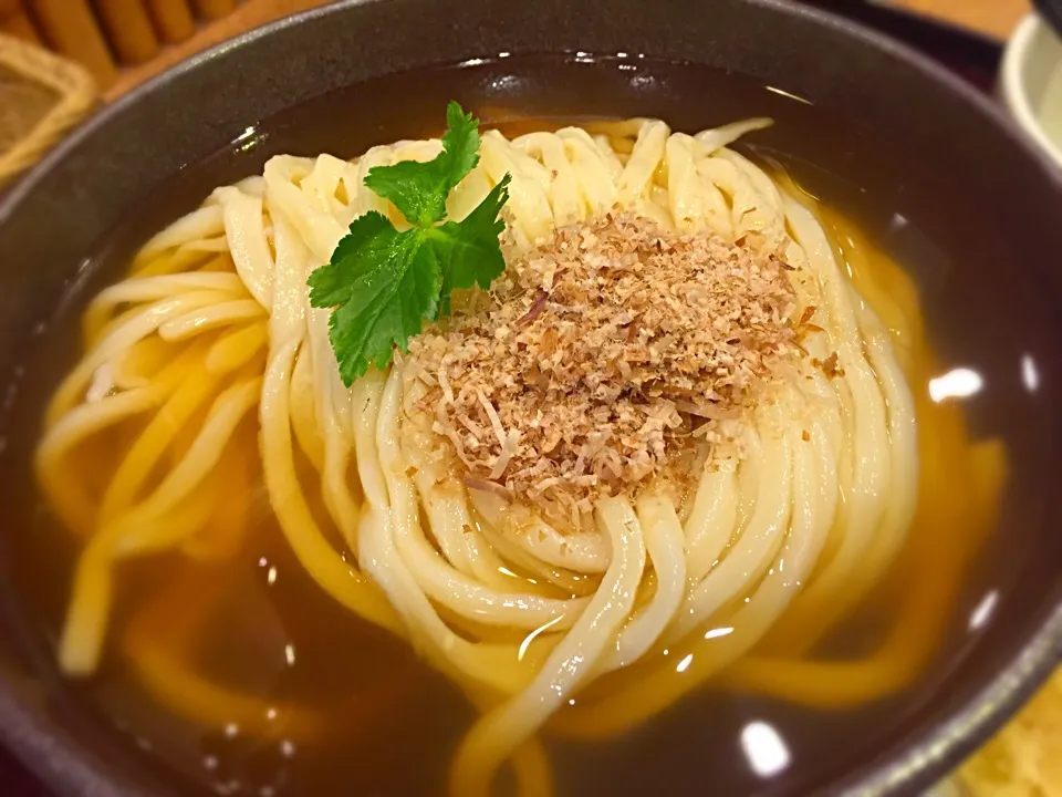 今宵は久しぶりに、冷かけうどん🍜讃岐うどんはちょいと固めだけど喉越しが気持ち良いですわ😄花粉症で荒れた喉には嬉しい一品どす。|にゃあ（芸名）さん