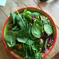 Veggie budhi bowl|Nina Witteveenさん