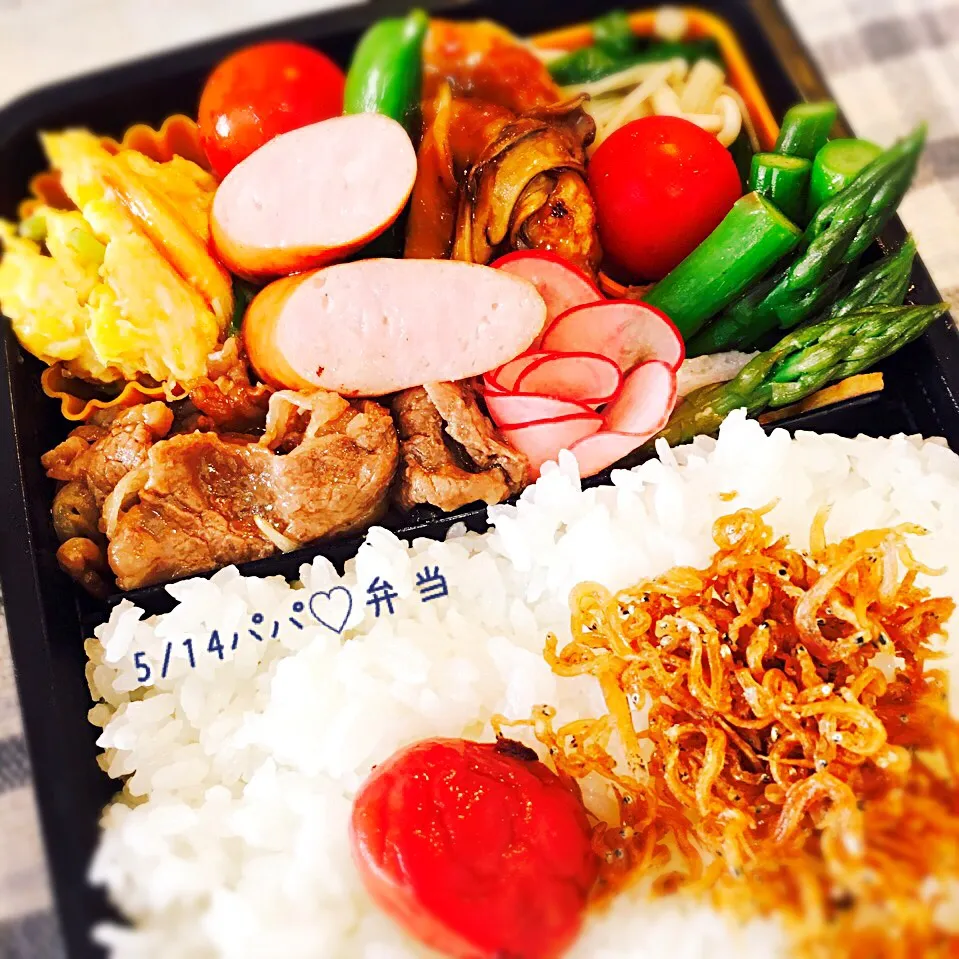 5月14日(土)パパ弁当|みかりんさん