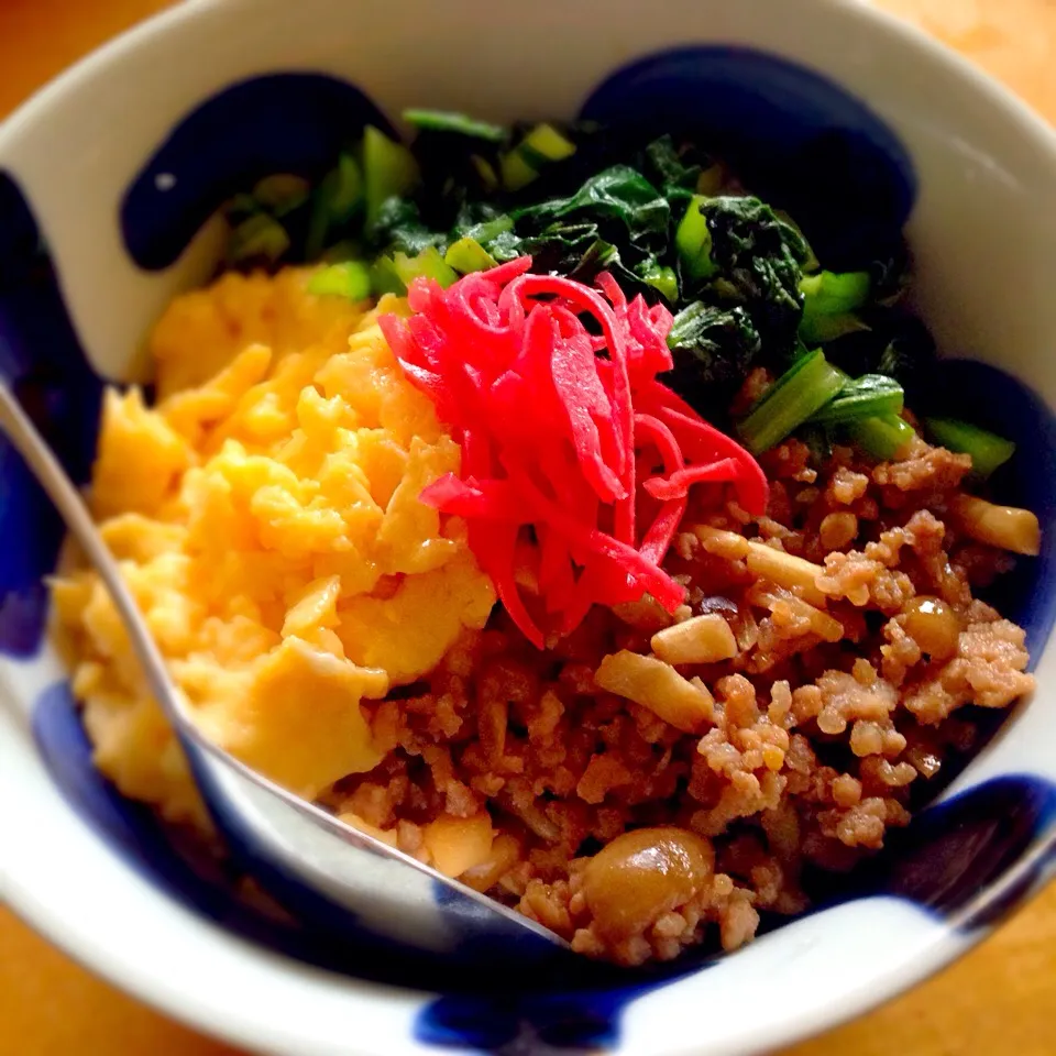 まだまだ続くよ骨折飯〜左手スプーンで食べられる『三色丼』の緑は、お世話になってるカルシウムたっぷり小松菜様〜💖|こなちゅんさん