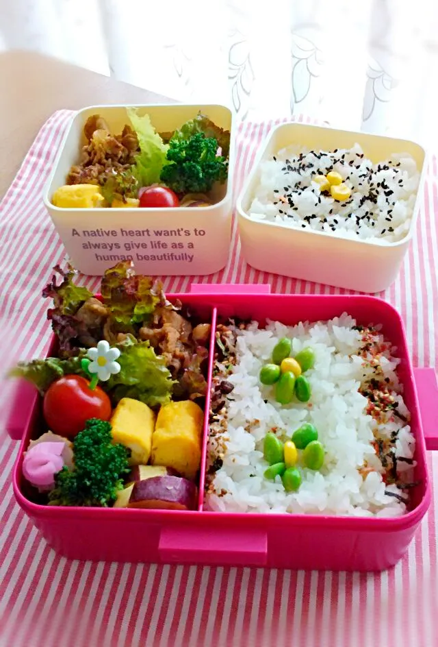 Snapdishの料理写真:5月14日の娘弁当&私弁当♪|ノリティアさん