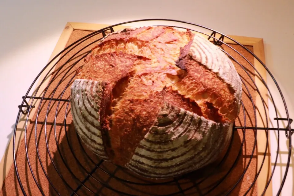 あこ天然酵母（ライト）にてカンパーニュです🍞|たいちさん