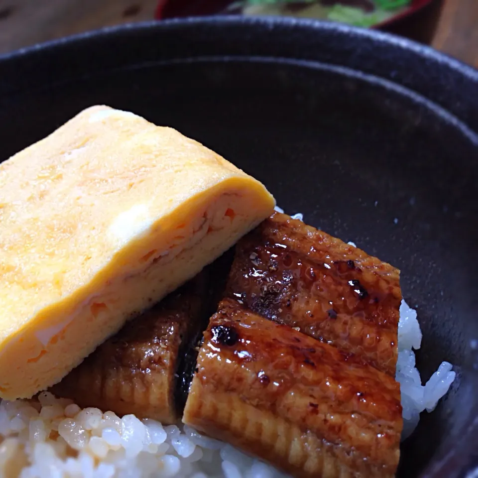 Snapdishの料理写真:かねよ風 鰻 きんし丼|koji toyodaさん