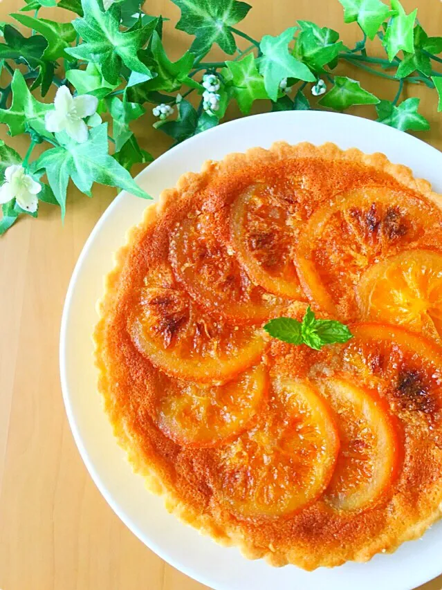 オレンジコンフィのタルト🍊|ろっしさん