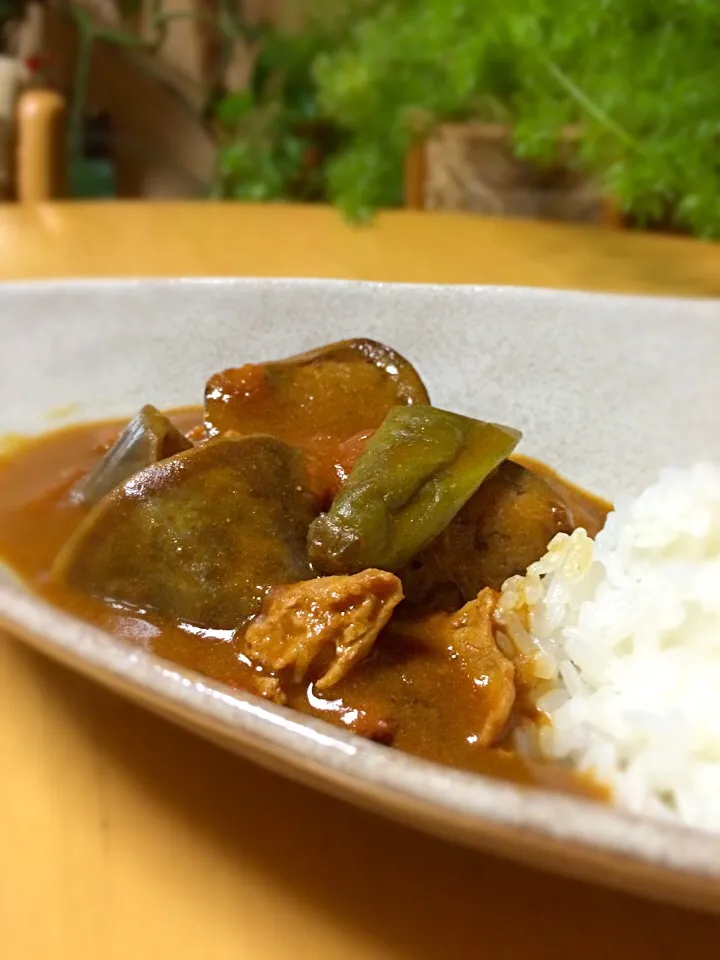 Snapdishの料理写真:インド風カレー🍛辛いよっ😝！|bonaさん