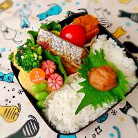 鮭弁当。