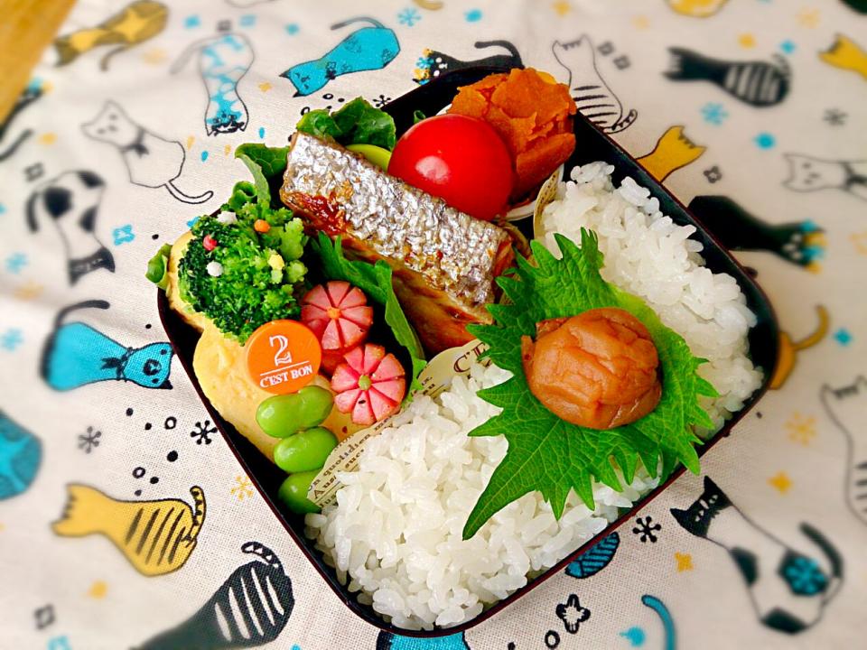 鮭弁当。