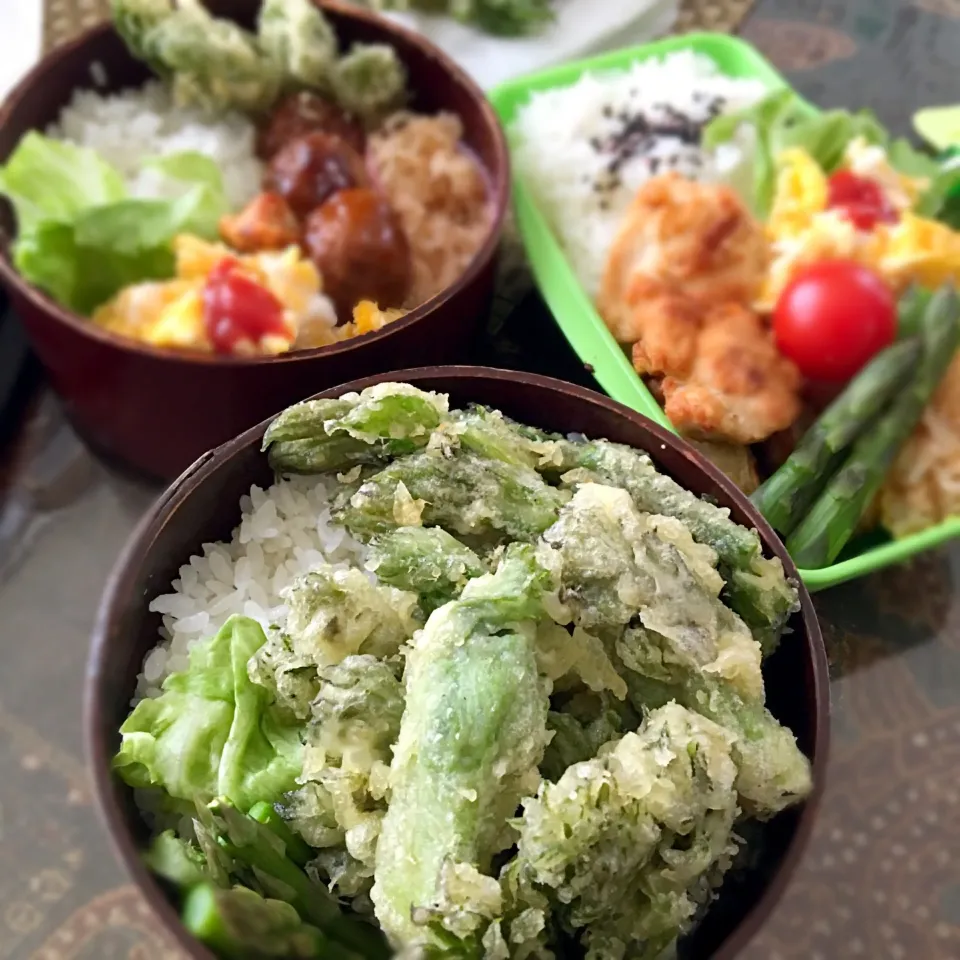 今日のお弁当〜(*'ω'*)
若旦那、山菜好きの為、山菜天丼！|renharuruさん