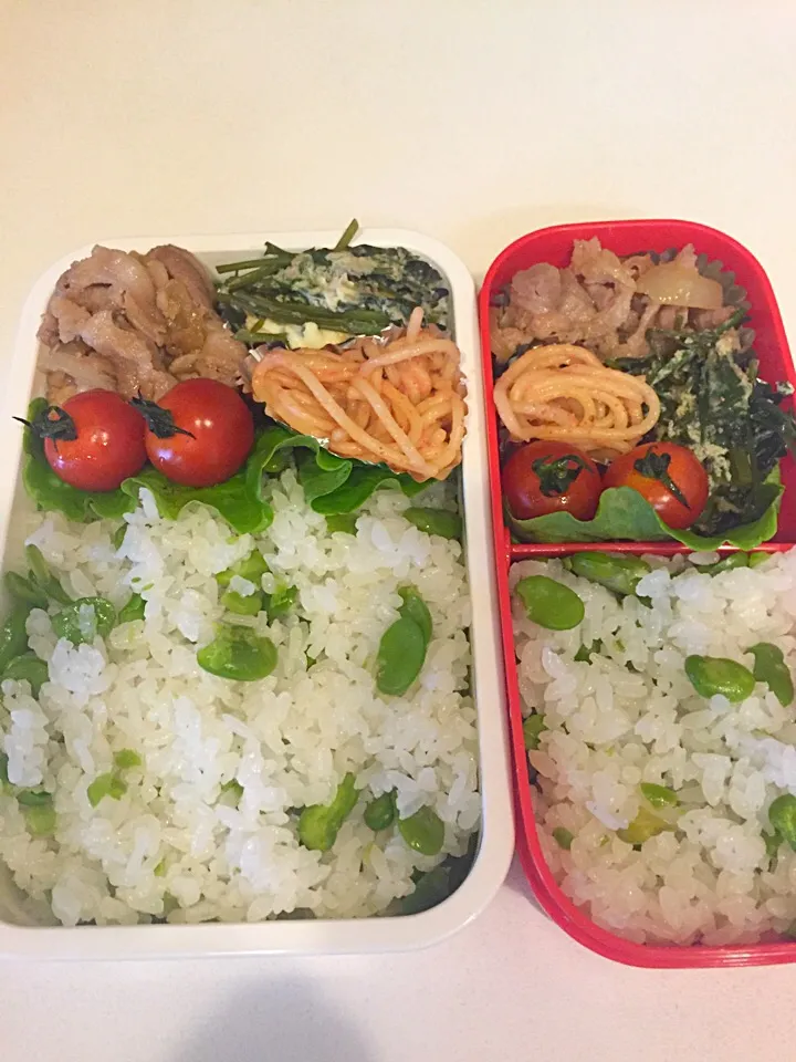 Snapdishの料理写真:5月16日のお弁当|たかたかさん