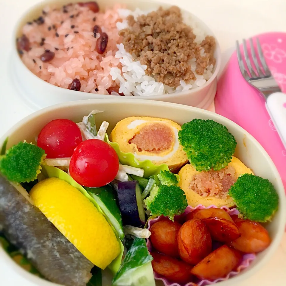 20150516本日のお弁当♪|水野愛日(ミズノマナビ)さん