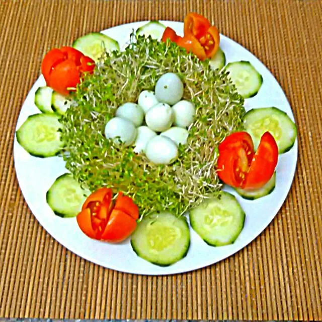 BIRD'S NEST SALAD|Lohan Brownさん