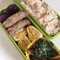 2016.5.16たいち弁当