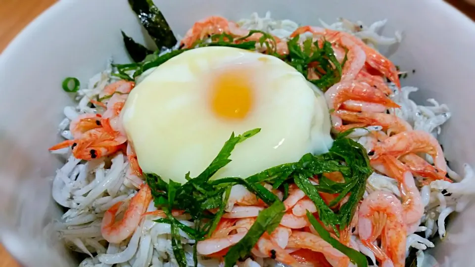 釜あげしらす&桜えび丼|くけこさん