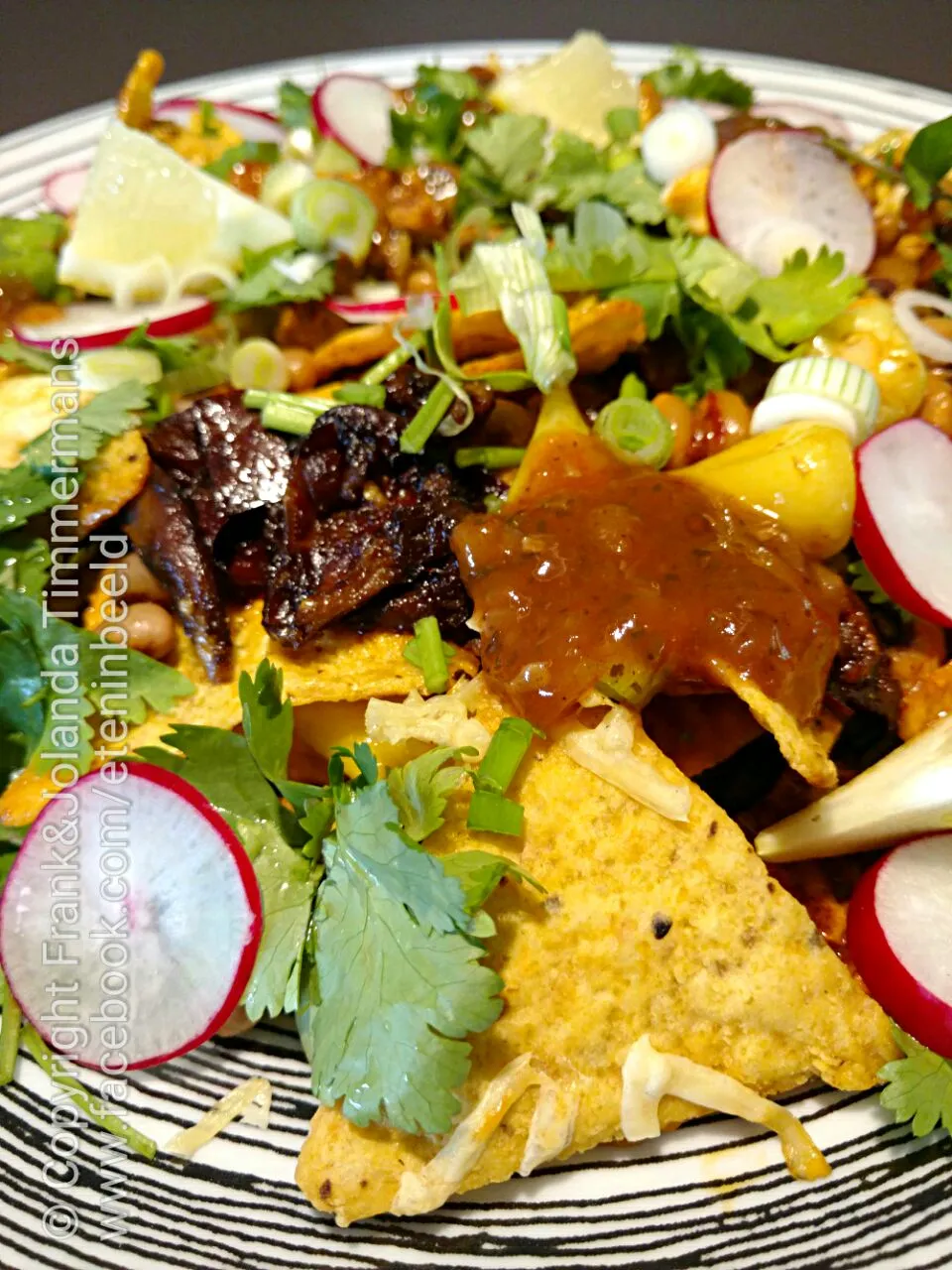 Duck Carnitas Nachos|Frank&Jolanda - Eteninbeeldさん