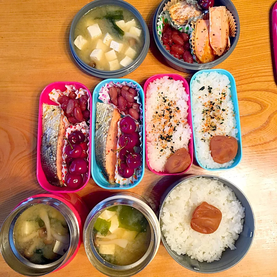 お弁当 サーモンの香味ガーリック焼き にまめ フルーツ 豆腐ときのこ、ワカメの味噌汁|ツインズママさん