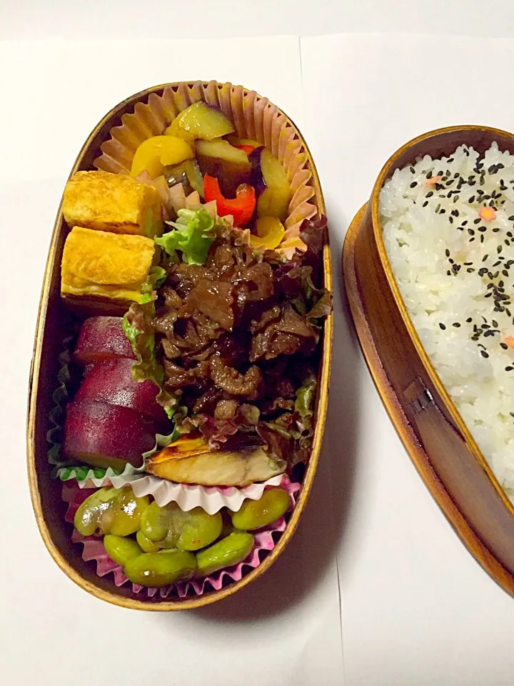 Snapdishの料理写真:今日のお弁当|はなはなさん