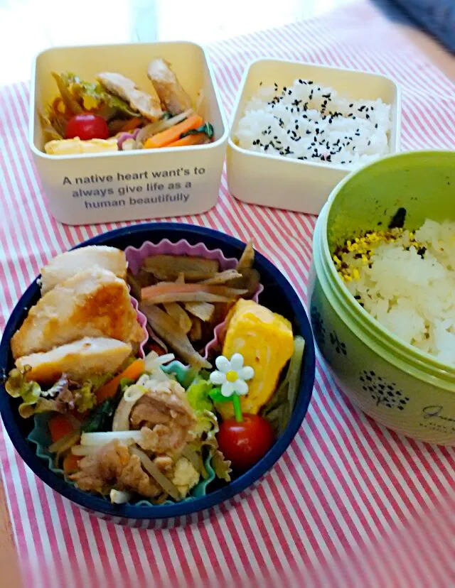 Snapdishの料理写真:5月17日の娘弁当&私弁当♪|ノリティアさん