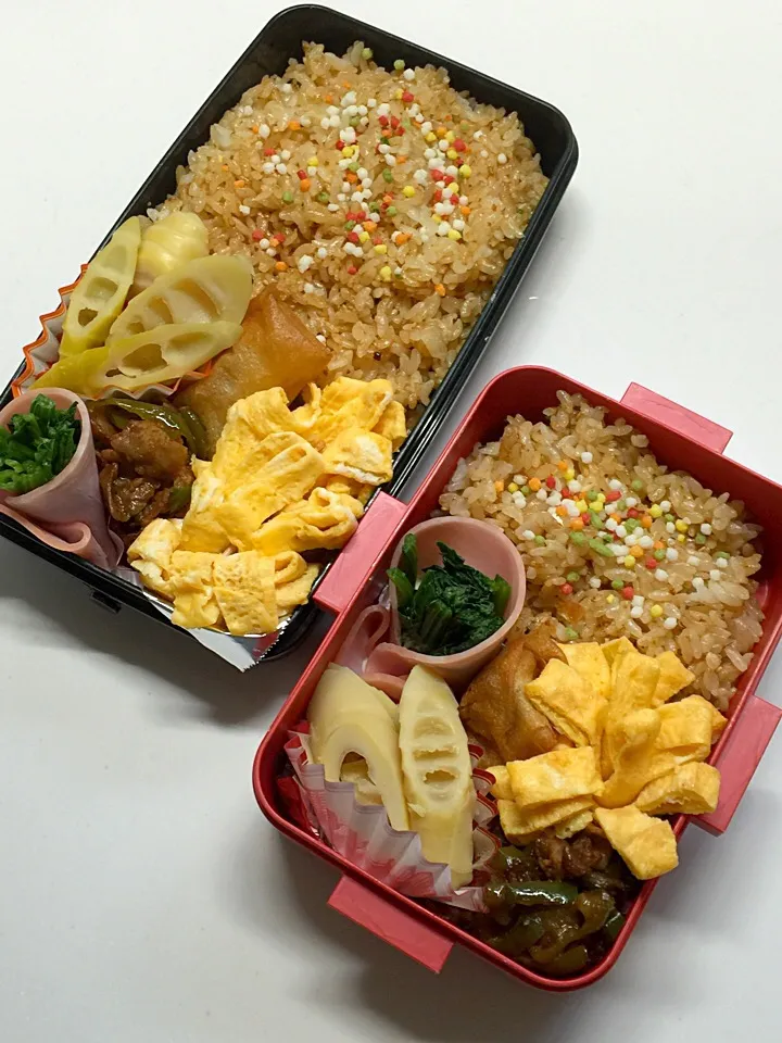 Snapdishの料理写真:5/17弁当🍴|三姉妹のママさん