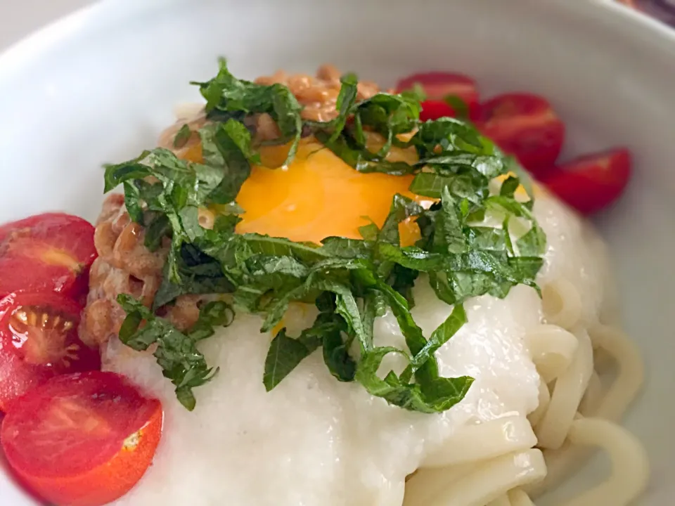 Snapdishの料理写真:ねばねばうどん|SRさん