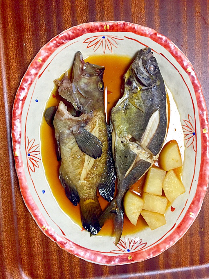 釣ったアイゴとミーバイの煮付け