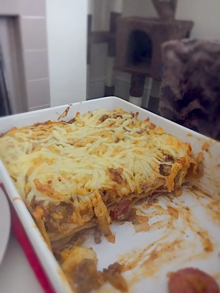 Lasagna👍|Erdenさん