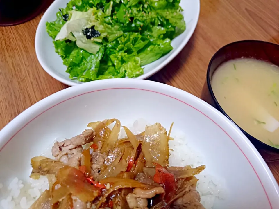 ・きんぴらごぼう丼
・長芋の味噌汁
・サニーレタスと海苔のサラダ|ようかんさん